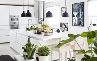 Ambientazione Ikea con piante in cucina