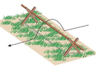 salto ostacolo percorso agility dog