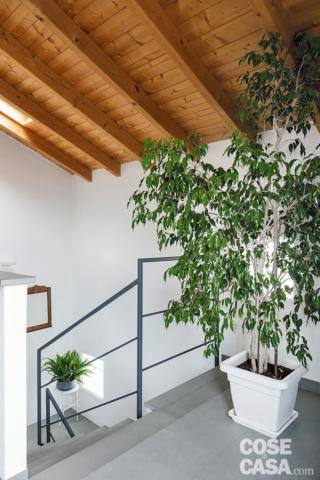 sottotetto, travi in legno a vista, scala, rivestimento in gres, vaso con pianta sottotetto, travi in legno a vista, scala, rivestimento in gres, vaso con pianta