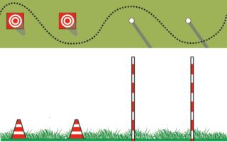 slalom percorso agility dog