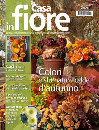 CIF11_cover CIF11_cover