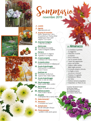 CIF11_sommario CIF11_sommario