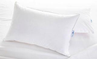 DaunenStep 21 DaunenStep 21