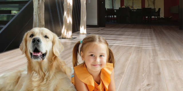 parquet cp parquet con finiture bio parquet cp parquet con finiture bio