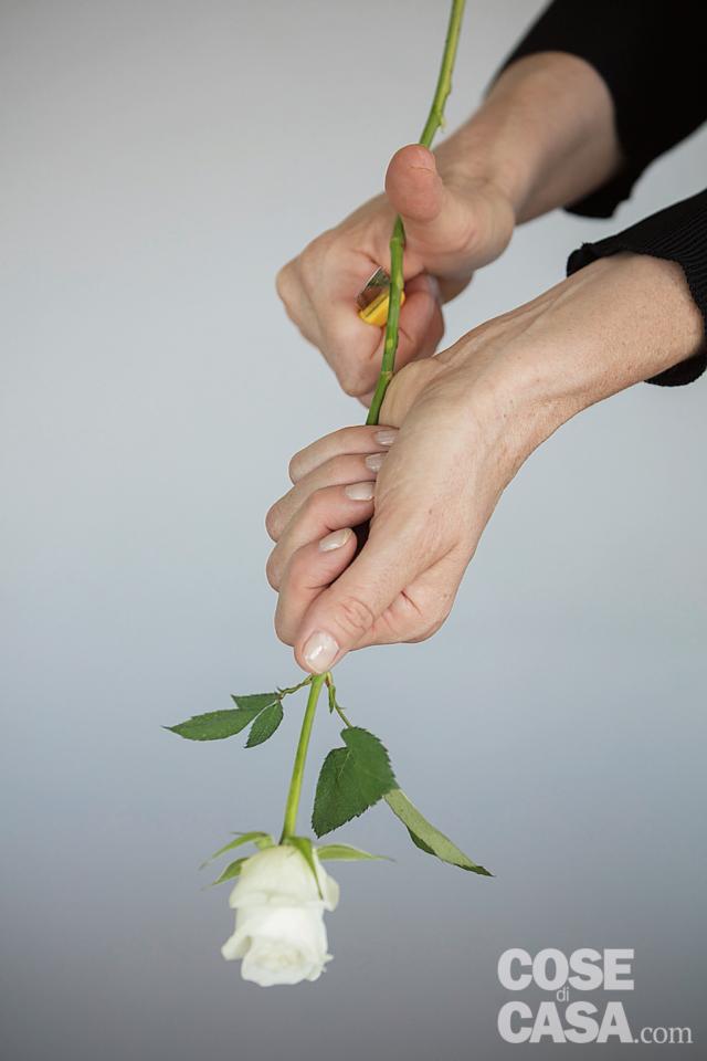 mini bouquet: pulire lo stelo delle rose mini bouquet: pulire lo stelo delle rose