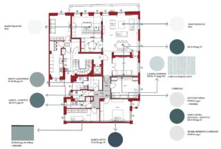 pianta colori pianta colori