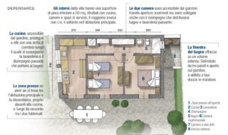 pianta-dependance pianta-dependance