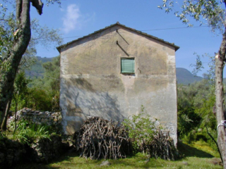 Fronte-giardino-1024x768 Fronte-giardino-1024x768