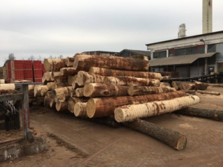 Produzione PARQUET TOLIN 2 Produzione PARQUET TOLIN 2