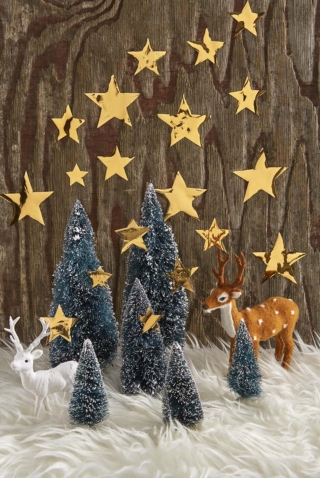 Stelline di natale Stelline di natale