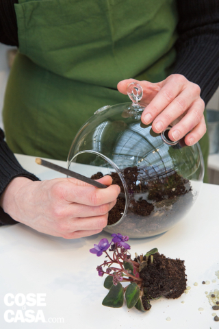 4. Con l’aiuto di un bastoncino, creare nel substrato gli spazi destinati a ospitare le piantine. 4. Con l’aiuto di un bastoncino, creare nel substrato gli spazi destinati a ospitare le piantine.