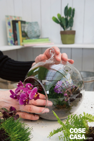 Il giardino racchiuso: disporre le piante e l'orchidea Il giardino racchiuso: disporre le piante e l'orchidea
