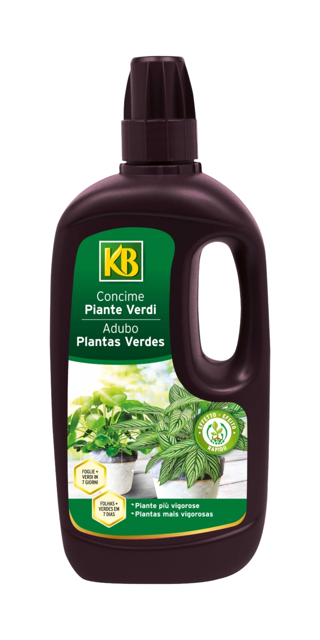 KB Fertilizzante liquido
Per le piante verdi, il fertilizzante liquido KB è una formula equilibrata NPK 7-3-5, che contiene minerali estratti dal suolo (magnesio, ferro, manganese…), utili per la salute delle piante e rapidamente assorbiti dalle radici. Garantisce una crescita armoniosa e piante visibilmente più verdi in 7 giorni (rispetto a una pianta non nutrita) . Con tappo dosatore. Costa 7,40 euro. www.fuoridiverde.it KB Fertilizzante liquido
Per le piante verdi, il fertilizzante liquido KB è una formula equilibrata NPK 7-3-5, che contiene minerali estratti dal suolo (magnesio, ferro, manganese…), utili per la salute delle piante e rapidamente assorbiti dalle radici. Garantisce una crescita armoniosa e piante visibilmente più verdi in 7 giorni (rispetto a una pianta non nutrita) . Con tappo dosatore. Costa 7,40 euro. www.fuoridiverde.it