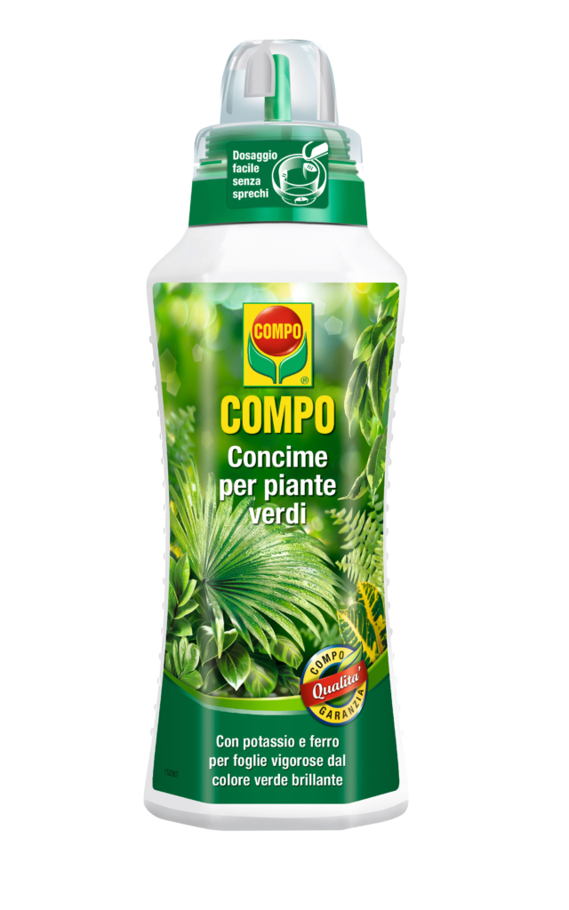 Compo concime per piante verdi Compo concime per piante verdi