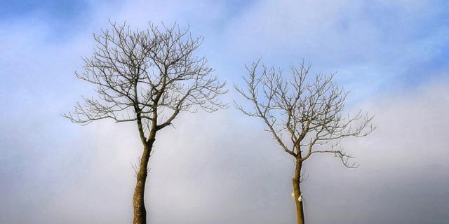 Appunti di viaggio di due fotografi italiani. Ludovica Sagramoso Sacchetti e Gianni Viviani Appunti di viaggio di due fotografi italiani. Ludovica Sagramoso Sacchetti e Gianni Viviani