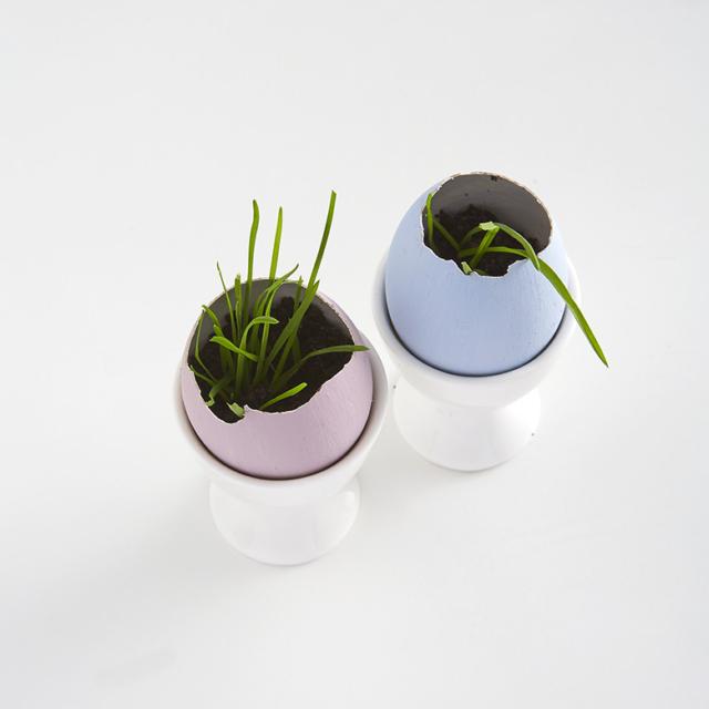 gusci su portauovo bianco con all'interno terriccio e fili di erba cipollina - Fai da te per Segnaposto Pasqua Step 4 gusci su portauovo bianco con all'interno terriccio e fili di erba cipollina - Fai da te per Segnaposto Pasqua Step 4