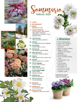 sommario cif2 sommario cif2