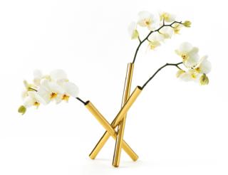 Sticks di Ghidini1961 è l’originale portafiori formato da tre elementi in ottone dorato; ha una linea astratta e raffinata che lo rende estremamente decorativo anche senza fiori.
Misura L 21 x P 21 x H 29 cm. Costa 580 euro. www.ghidini1961.com Sticks di Ghidini1961 è l’originale portafiori formato da tre elementi in ottone dorato; ha una linea astratta e raffinata che lo rende estremamente decorativo anche senza fiori.
Misura L 21 x P 21 x H 29 cm. Costa 580 euro. www.ghidini1961.com