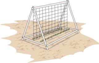 traliccio-per-piselli