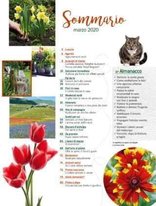 CIF03-sommario-2020 CIF03-sommario-2020