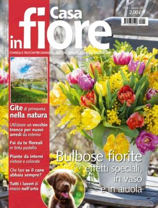 CIF03_cover-2020 CIF03_cover-2020