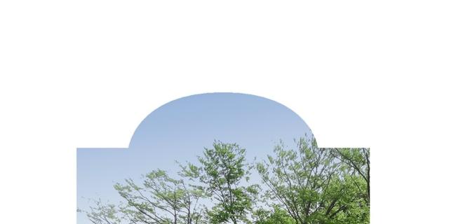 Tra cielo e terra. Il paesaggio lombardo attraverso gli occhi dei santi Tra cielo e terra. Il paesaggio lombardo attraverso gli occhi dei santi