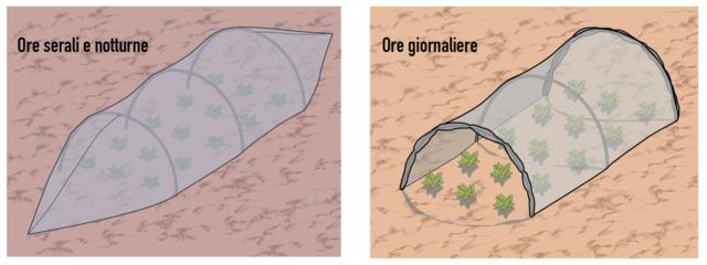 Si consiglia di aprire il tunnel durante le ore centrali del giorno (quelle più calde) e di richiuderlo nelle ore serali e notturne (più fredde), soprattutto nelle giornate soleggiate di fine inverno. Inoltre l’apertura è suggerita anche per evitare che la temperatura all’interno cresca troppo durante le giornate di sole di febbraio: i raggi, battendo direttamente sulla copertura trasparente chiusa nelle ore centrali della giornata, potrebbero andare ad allessare gli ortaggi più teneri. Si consiglia di aprire il tunnel durante le ore centrali del giorno (quelle più calde) e di richiuderlo nelle ore serali e notturne (più fredde), soprattutto nelle giornate soleggiate di fine inverno. Inoltre l’apertura è suggerita anche per evitare che la temperatura all’interno cresca troppo durante le giornate di sole di febbraio: i raggi, battendo direttamente sulla copertura trasparente chiusa nelle ore centrali della giornata, potrebbero andare ad allessare gli ortaggi più teneri.