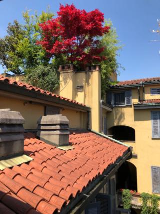 una vista del palazzo e dei terrazzi