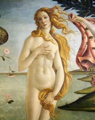 Firenze, Gallerie degli Uffizi, Botticelli, Nascita di Venere. Firenze, Gallerie degli Uffizi, Botticelli, Nascita di Venere.