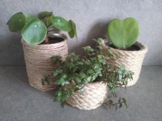 Questi portavasi sono adatti all’interno o ad ambienti esterni riparati dalla pioggia Questi portavasi sono adatti all’interno o ad ambienti esterni riparati dalla pioggia