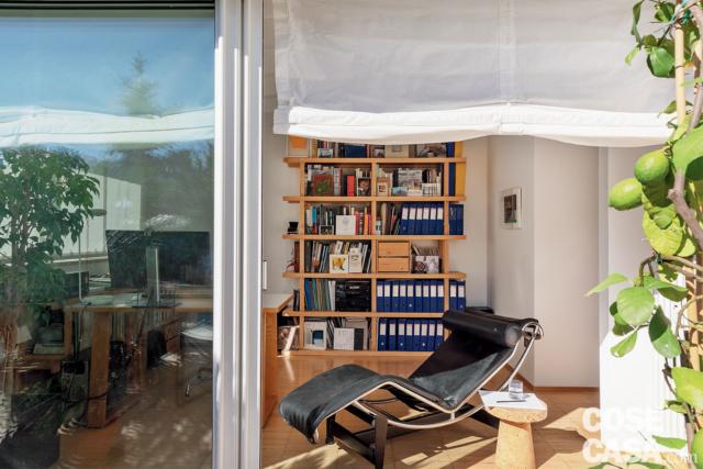 portafinestra, tenda a pacchetto, libreria a giorno, chaise-longue di design in pelle, tavolino, pianta portafinestra, tenda a pacchetto, libreria a giorno, chaise-longue di design in pelle, tavolino, pianta