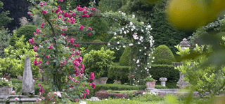 Giardinity Primavera. I Bulbi di Evelina Pisani Giardinity Primavera. I Bulbi di Evelina Pisani