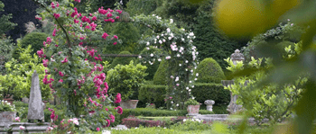 Giardinity Primavera. I Bulbi di Evelina Pisani Giardinity Primavera. I Bulbi di Evelina Pisani