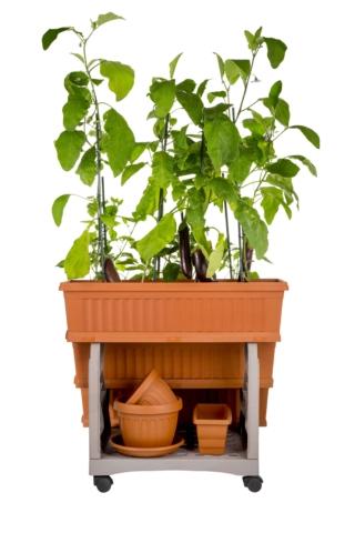 bama vano porta vasi