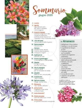 CIF06_sommario CIF06_sommario