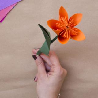 Il fiore con la corolla arancione è concluso. Il fiore con la corolla arancione è concluso.