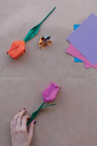 Il fiore con la corolla rosa è concluso. Il fiore con la corolla rosa è concluso.