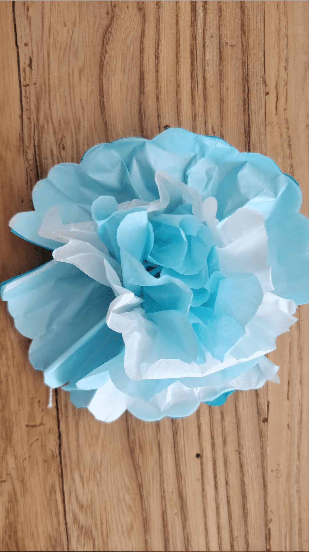 Come fare un fiore di carta velina, semplice e d'effetto - Cose di Casa