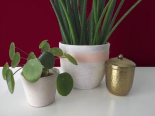 Potete proteggere ulteriormente il vaso passando una o due mani di vernice finale opaca all’acqua.