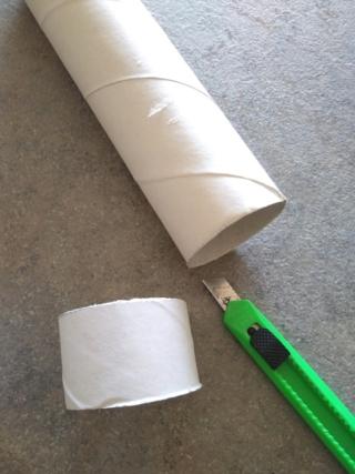 Tagliate un pezzo di cartone alto 3 cm da un rotolo di carta da cucina.  Tagliate un pezzo di cartone alto 3 cm da un rotolo di carta da cucina.