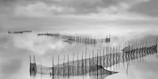 Franco Donaggio. Reflections Franco Donaggio. Reflections