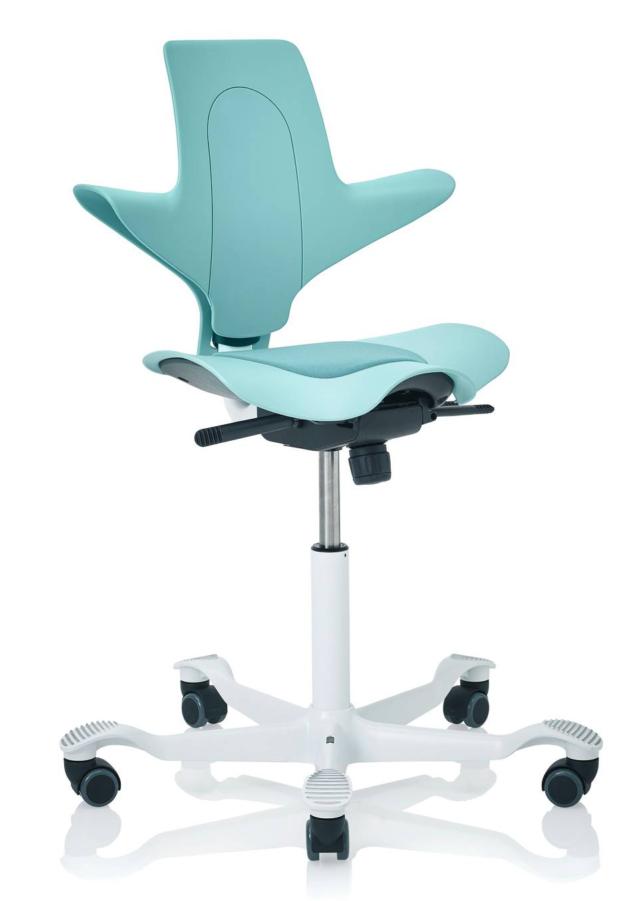 sedia ruote capisco plus hag sedia ruote capisco plus hag