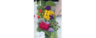 14. Infine riempire gli spazi vuoti che eventualmente si saranno creati, con bacche acerbe di corbezzolo. 14. Infine riempire gli spazi vuoti che eventualmente si saranno creati, con bacche acerbe di corbezzolo.