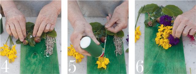 4.rametto pere acerbe 5. Stendere la colla sugli steli e sui petali di ginestra 6. Stesso procedimento con i fiori della verbena viola 4.rametto pere acerbe 5. Stendere la colla sugli steli e sui petali di ginestra 6. Stesso procedimento con i fiori della verbena viola