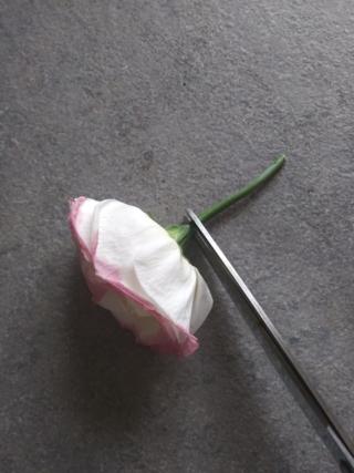 Scegliete fiori con la corolla larga e tagliate interamente i gambi. Scegliete fiori con la corolla larga e tagliate interamente i gambi.