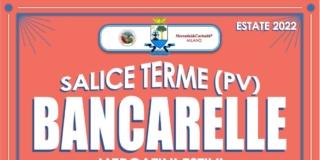 Salice Terme, viale centrale del Parco delle Terme Salice Terme, viale centrale del Parco delle Terme