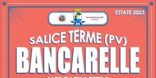 Salice Terme, viale centrale del Parco delle Terme Salice Terme, viale centrale del Parco delle Terme