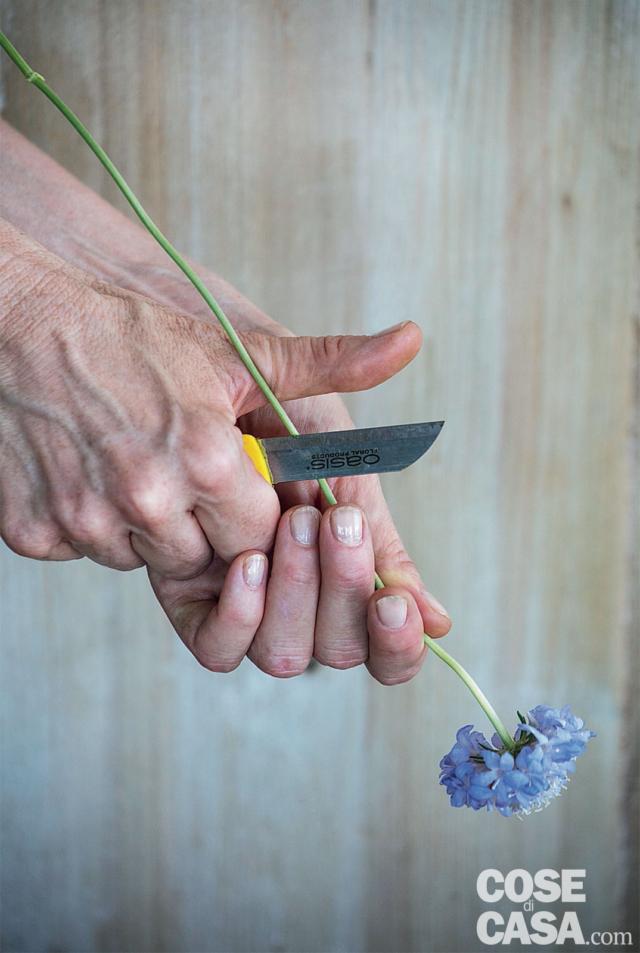 Pulire tutti i fiori, eliminando le foglie Pulire tutti i fiori, eliminando le foglie