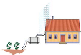 cisterna-per-irrigare cisterna-per-irrigare