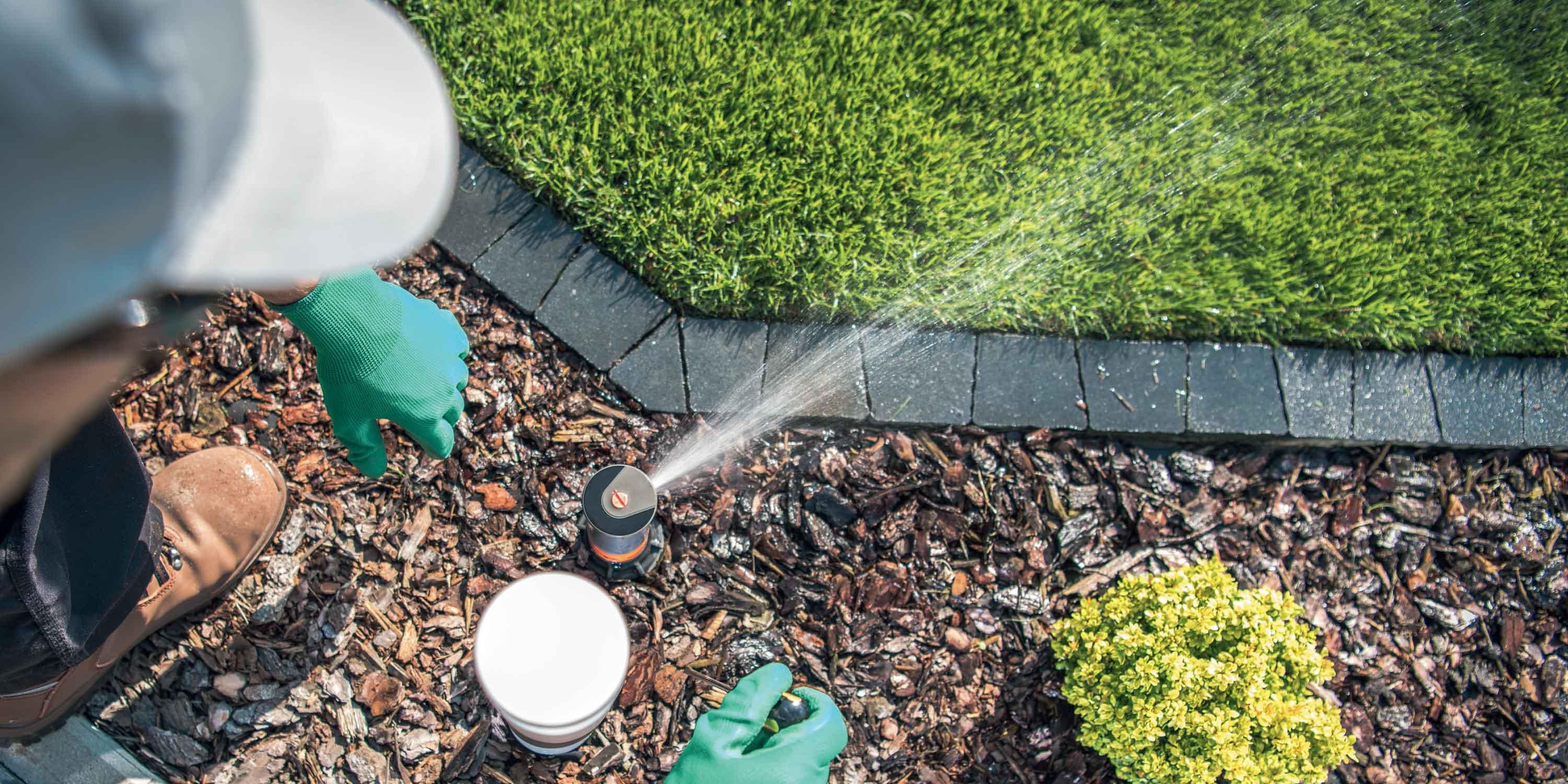 Irrigare il giardino senza sprecare l'acqua - Cose di Casa